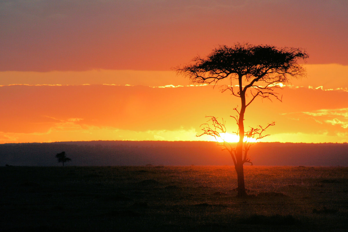 Sundown Massai Mara