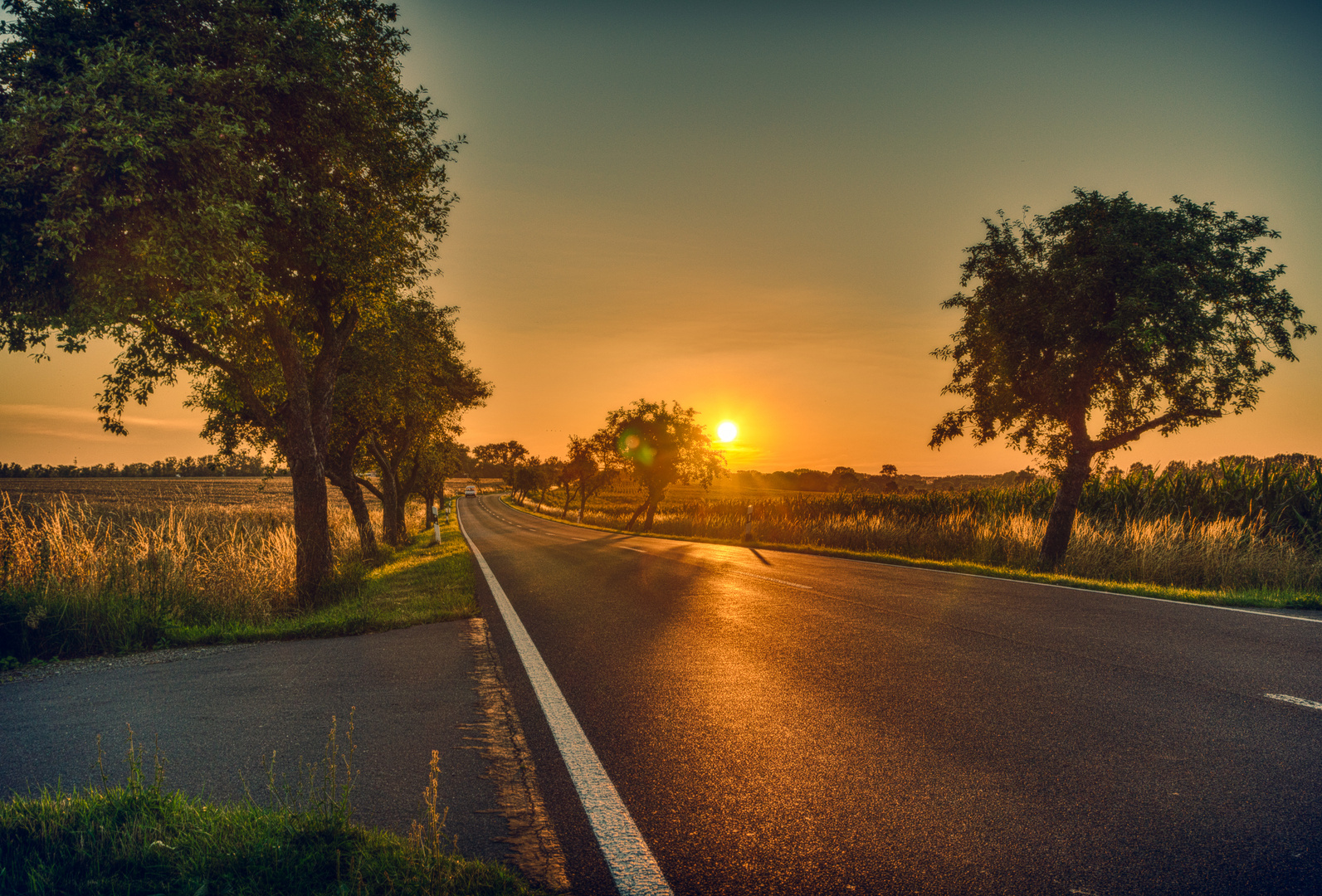 sundown near Linum