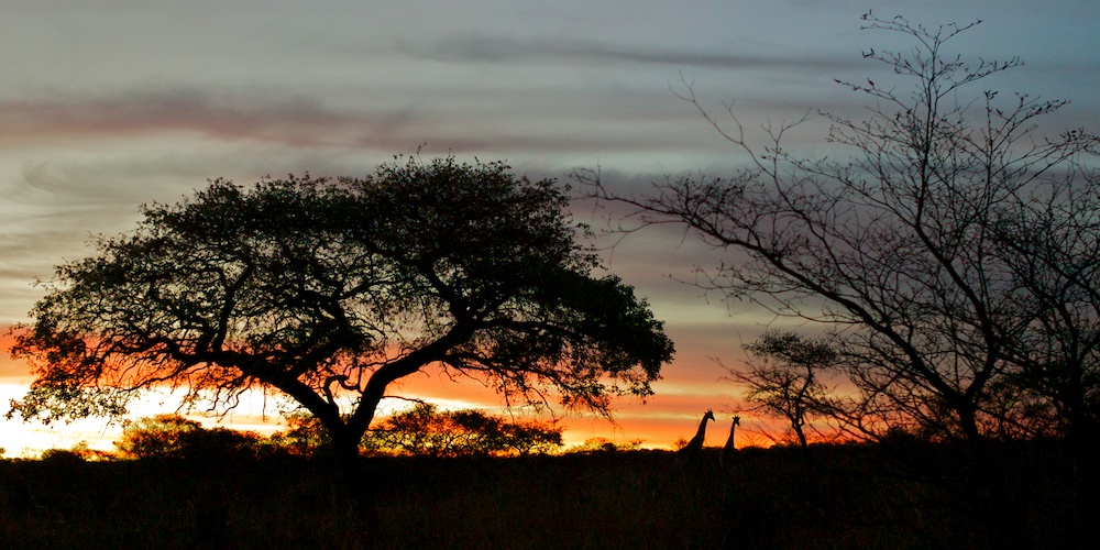 sundown on Waterberg