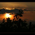 ~*sundown over the grape vine*~