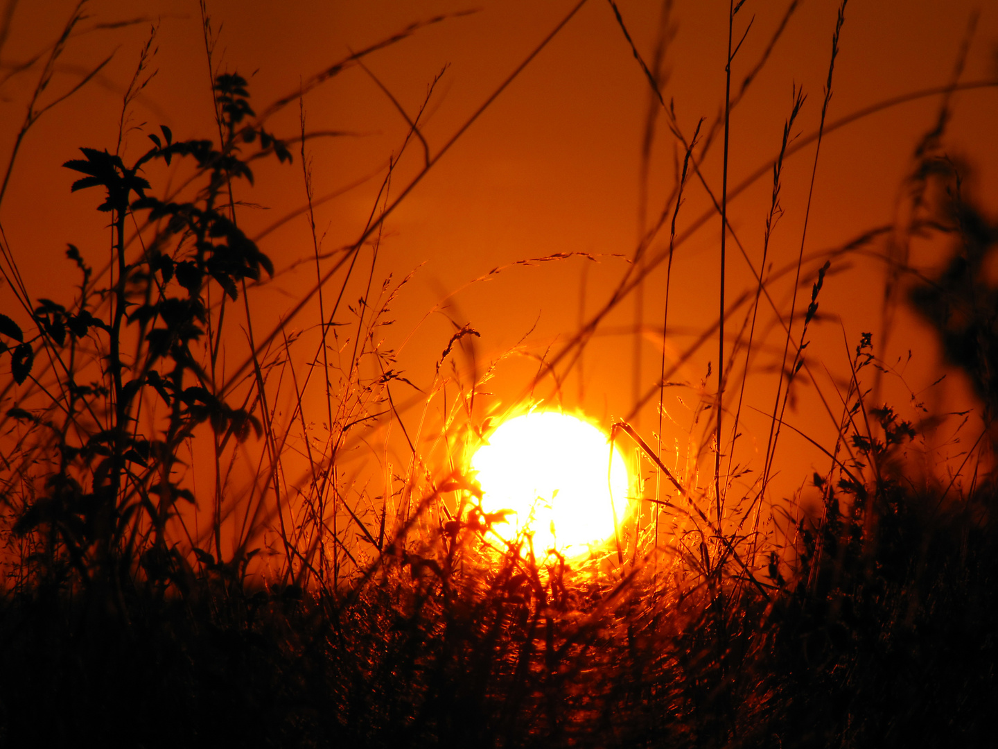 Sundown Rodderberg