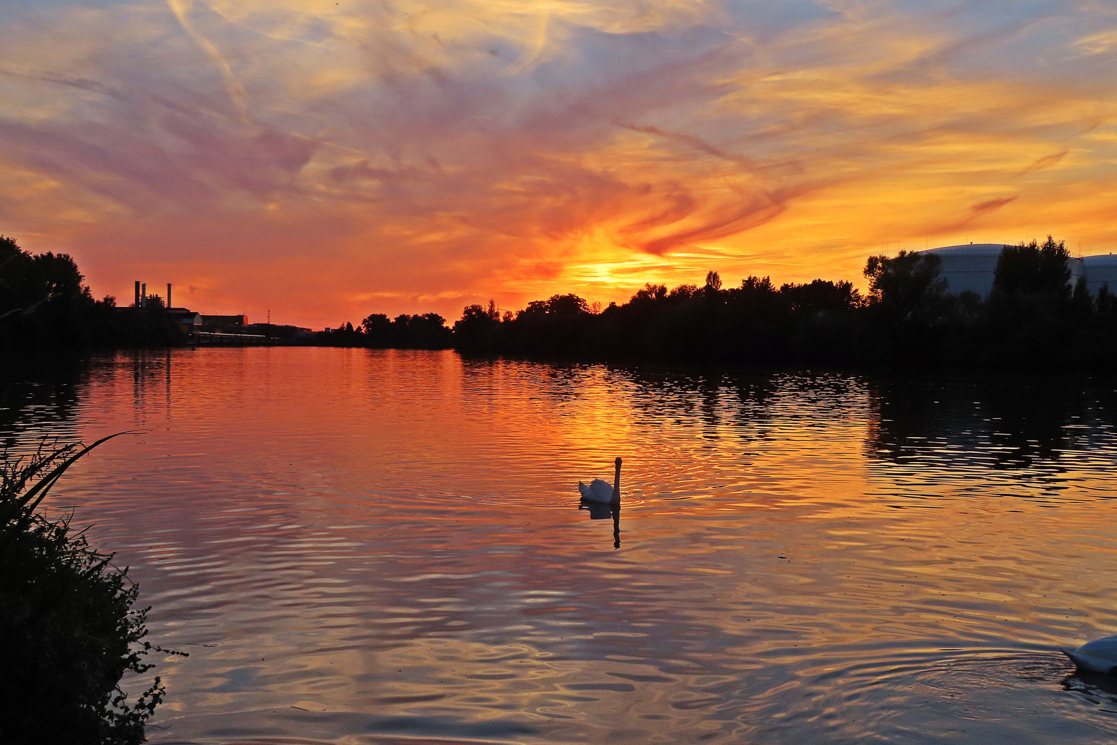 Sundown Rüsselsheim (2)