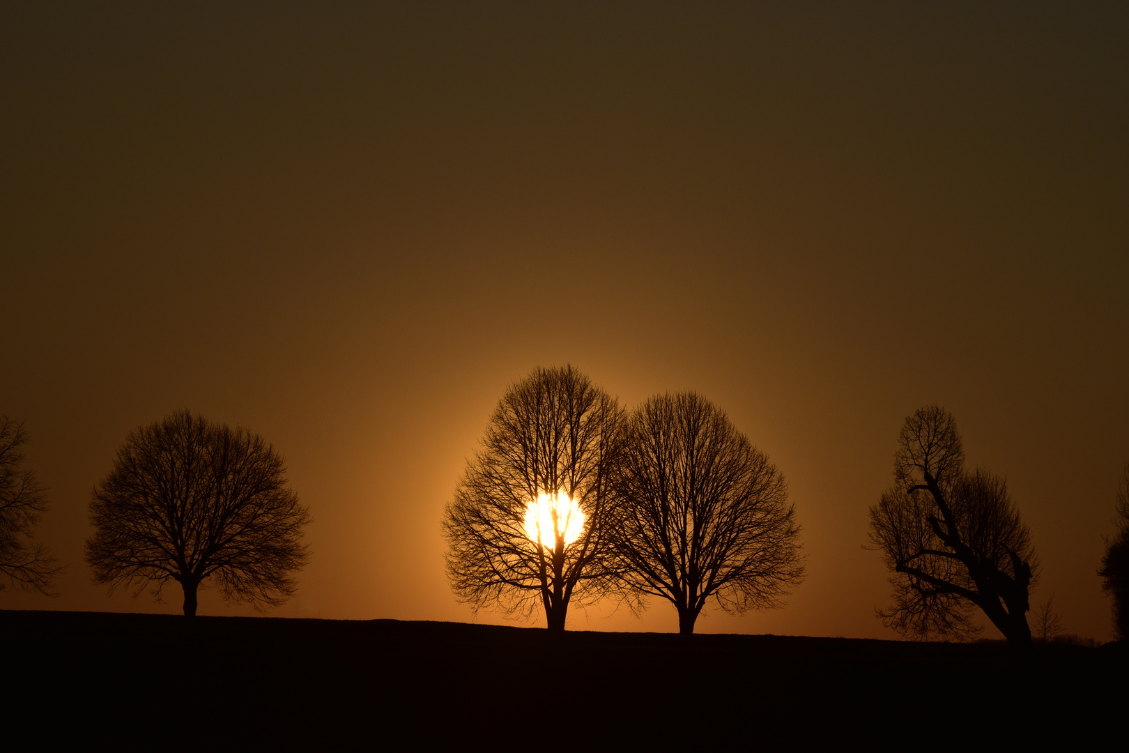 sundown twins