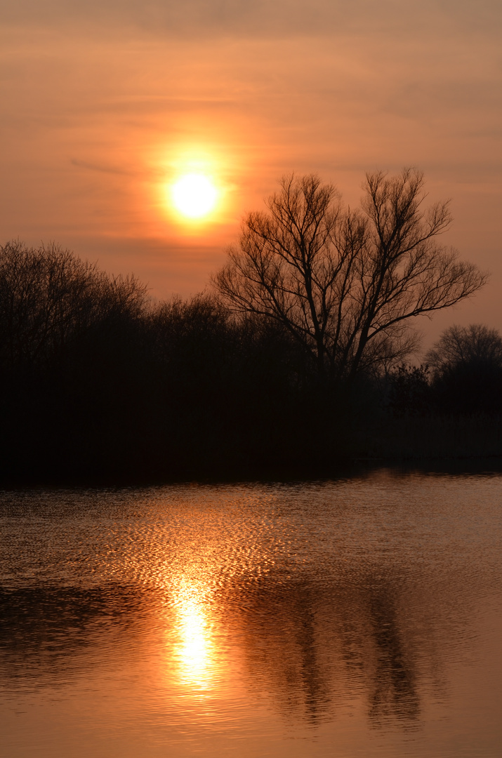 Sundown Wolnysee