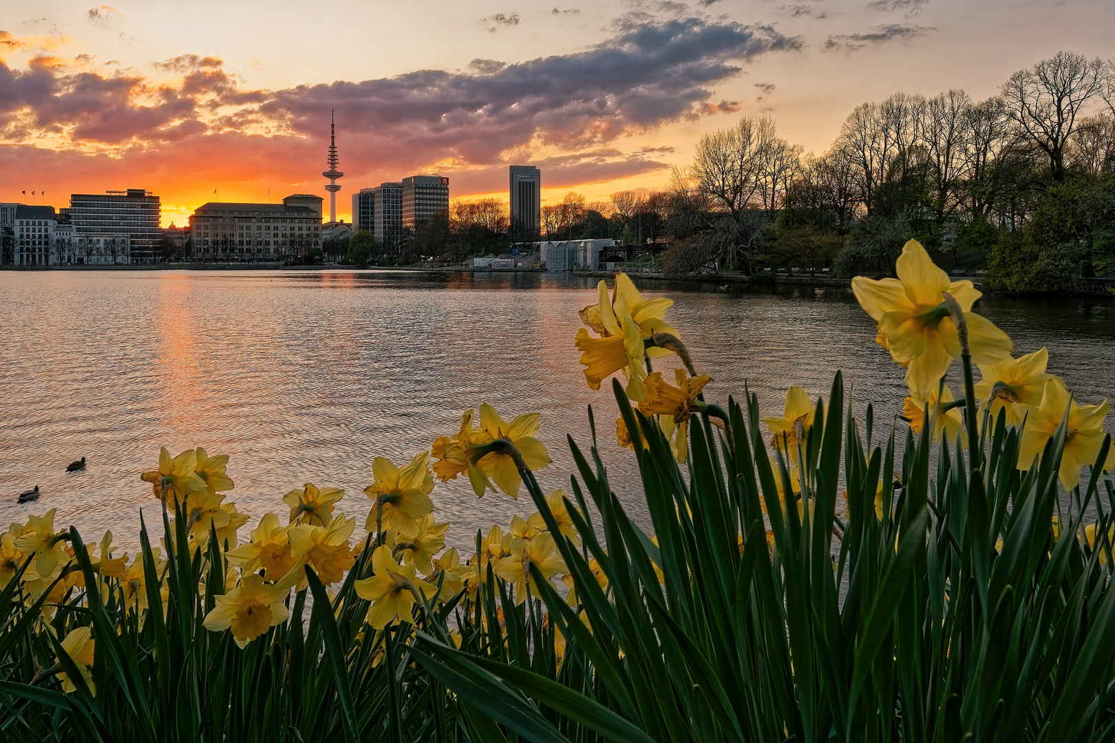 Sundown@Binnenalster