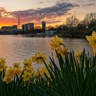 Sundown@Binnenalster