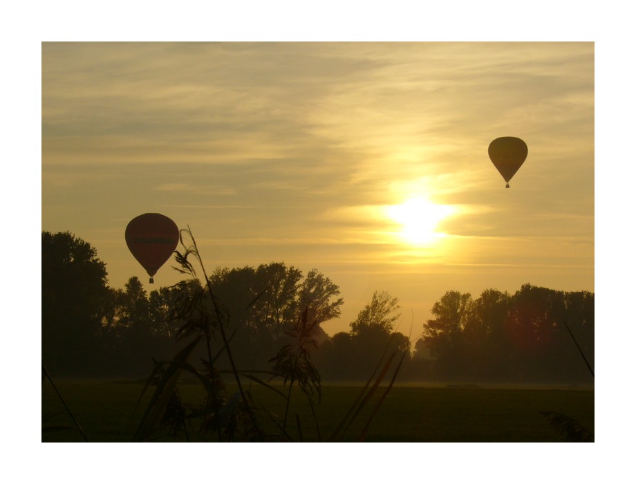 Sundowner