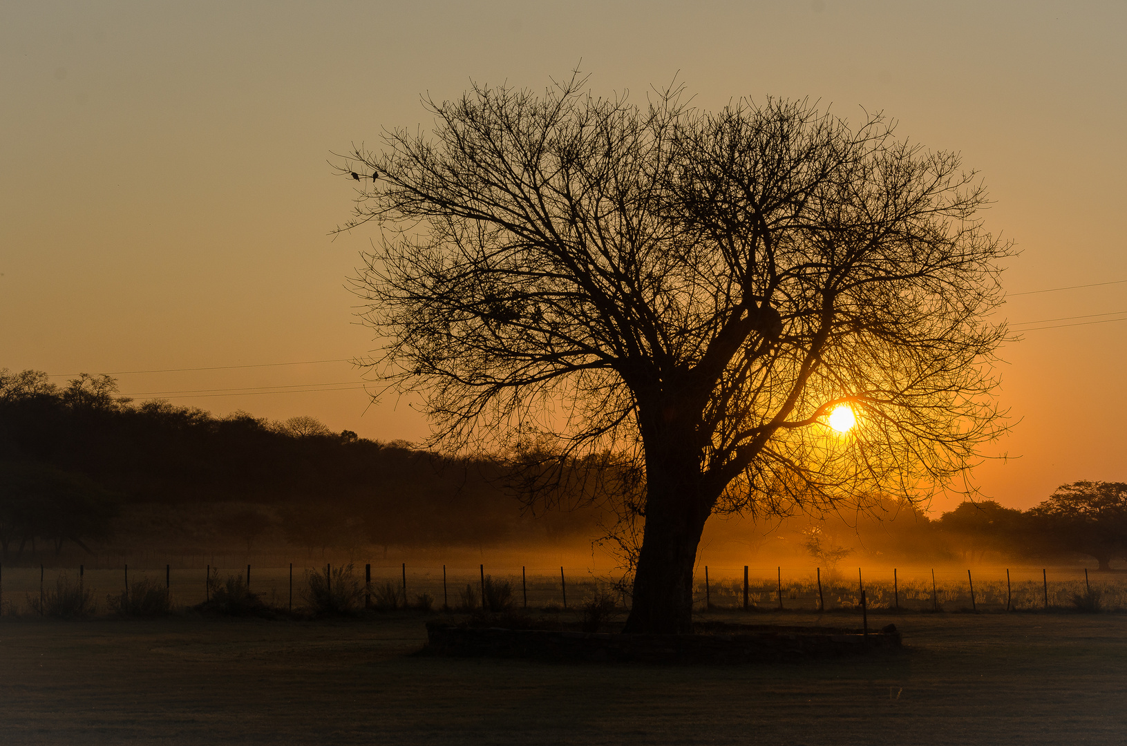 Sundowner