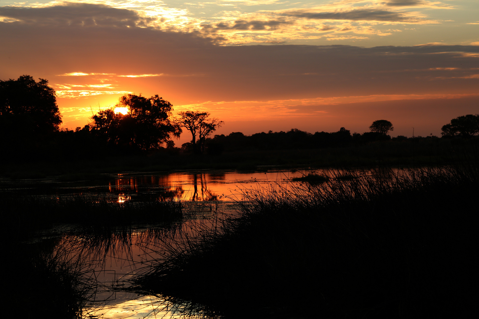 Sundowner