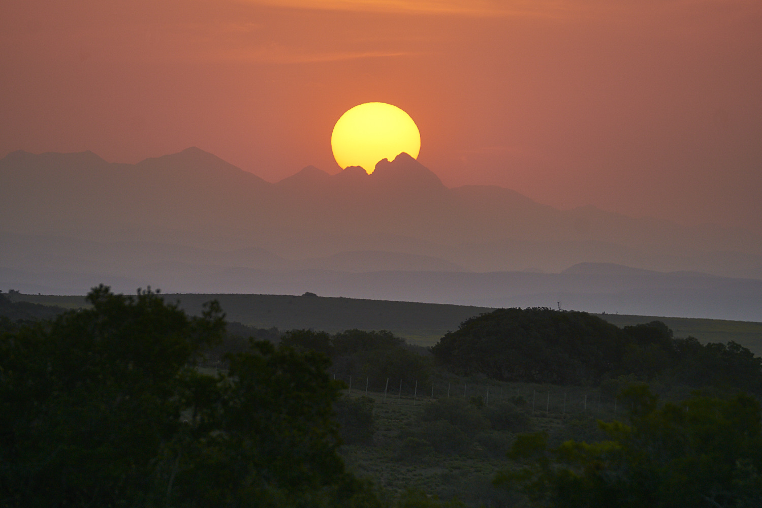 Sundowner