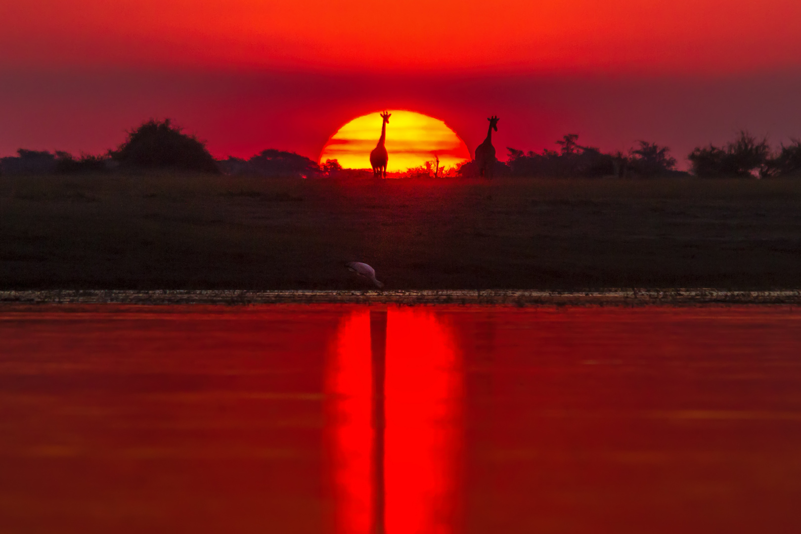 Sundowner am Choberiver