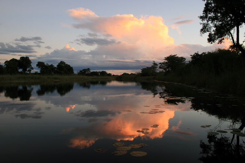 Sundowner am Kwando