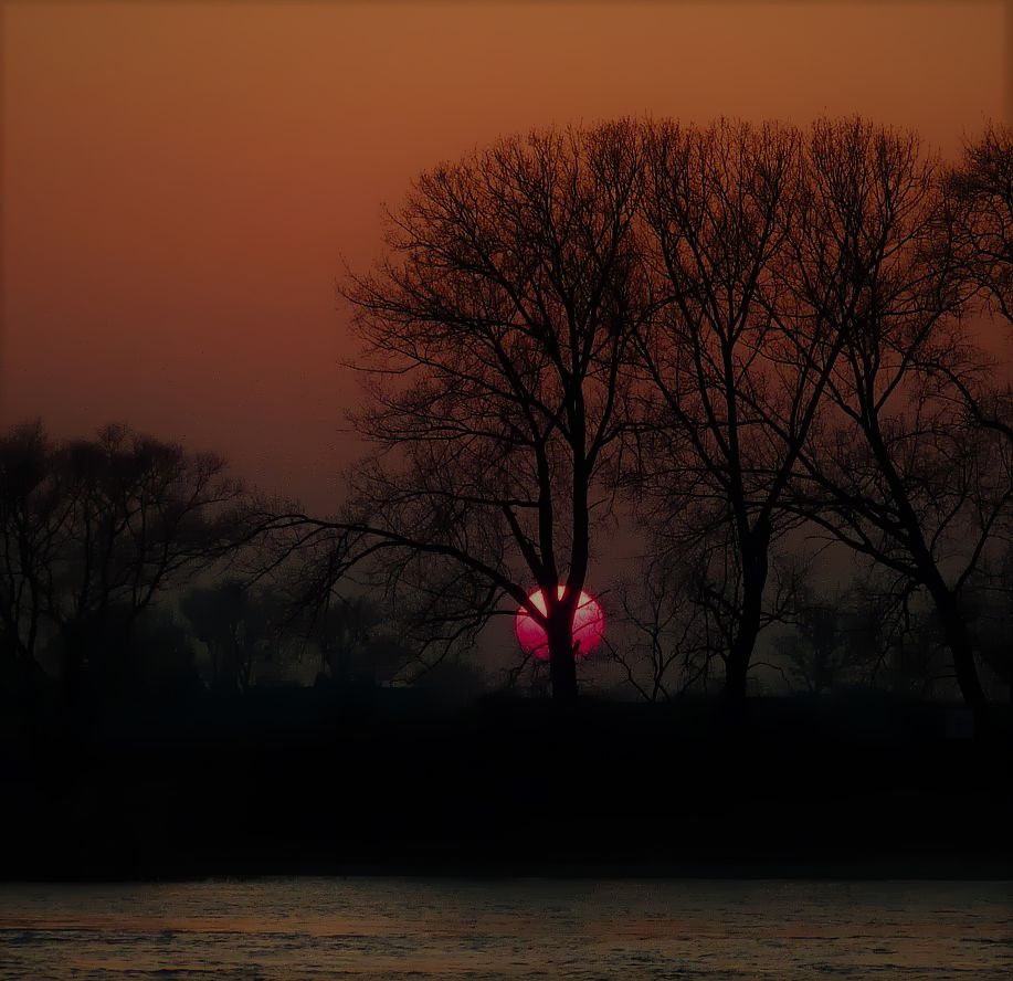 Sundowner am Rheinufer