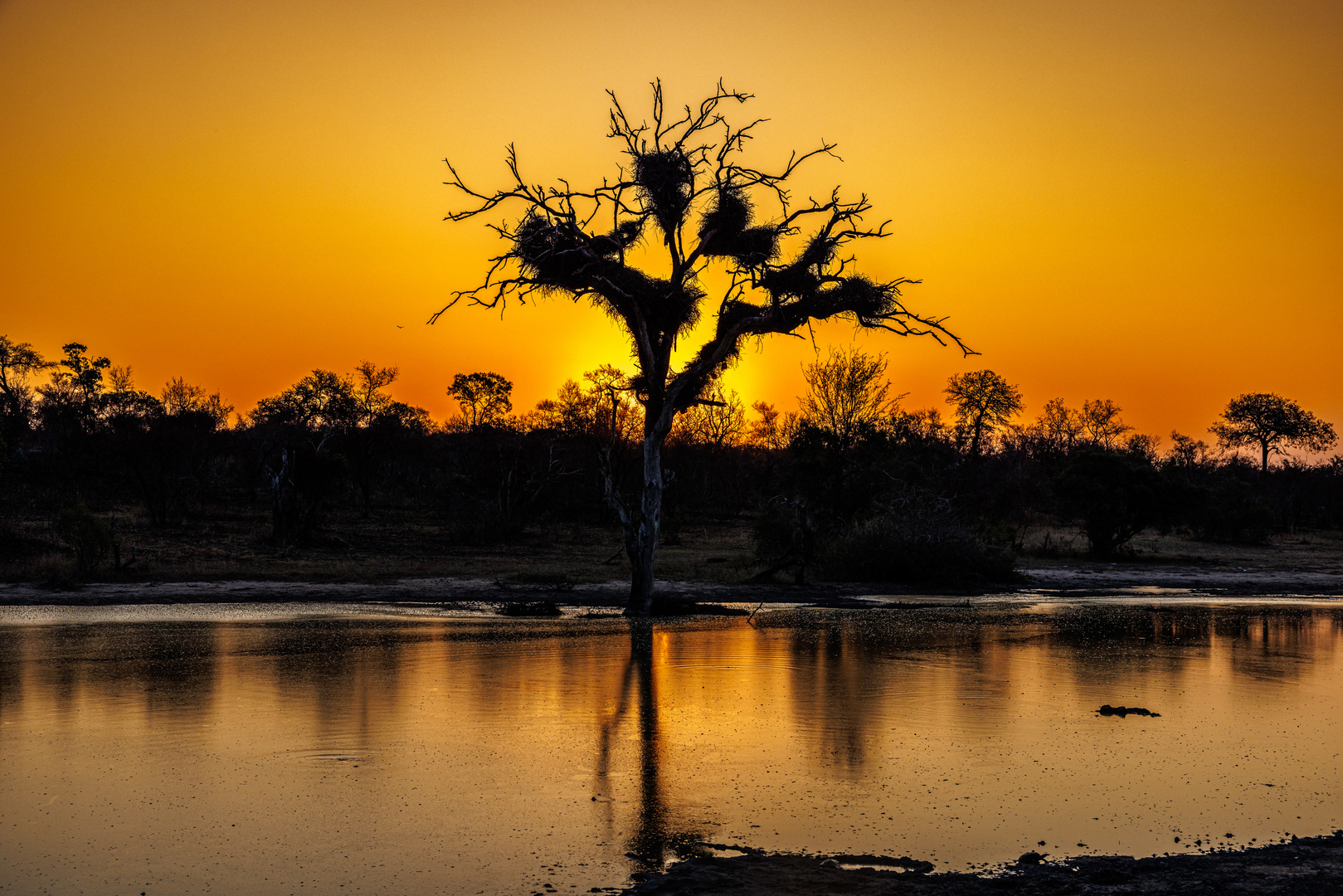 Sundowner am Wasser