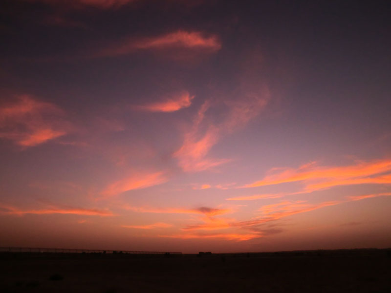 sundowner - arabic desert