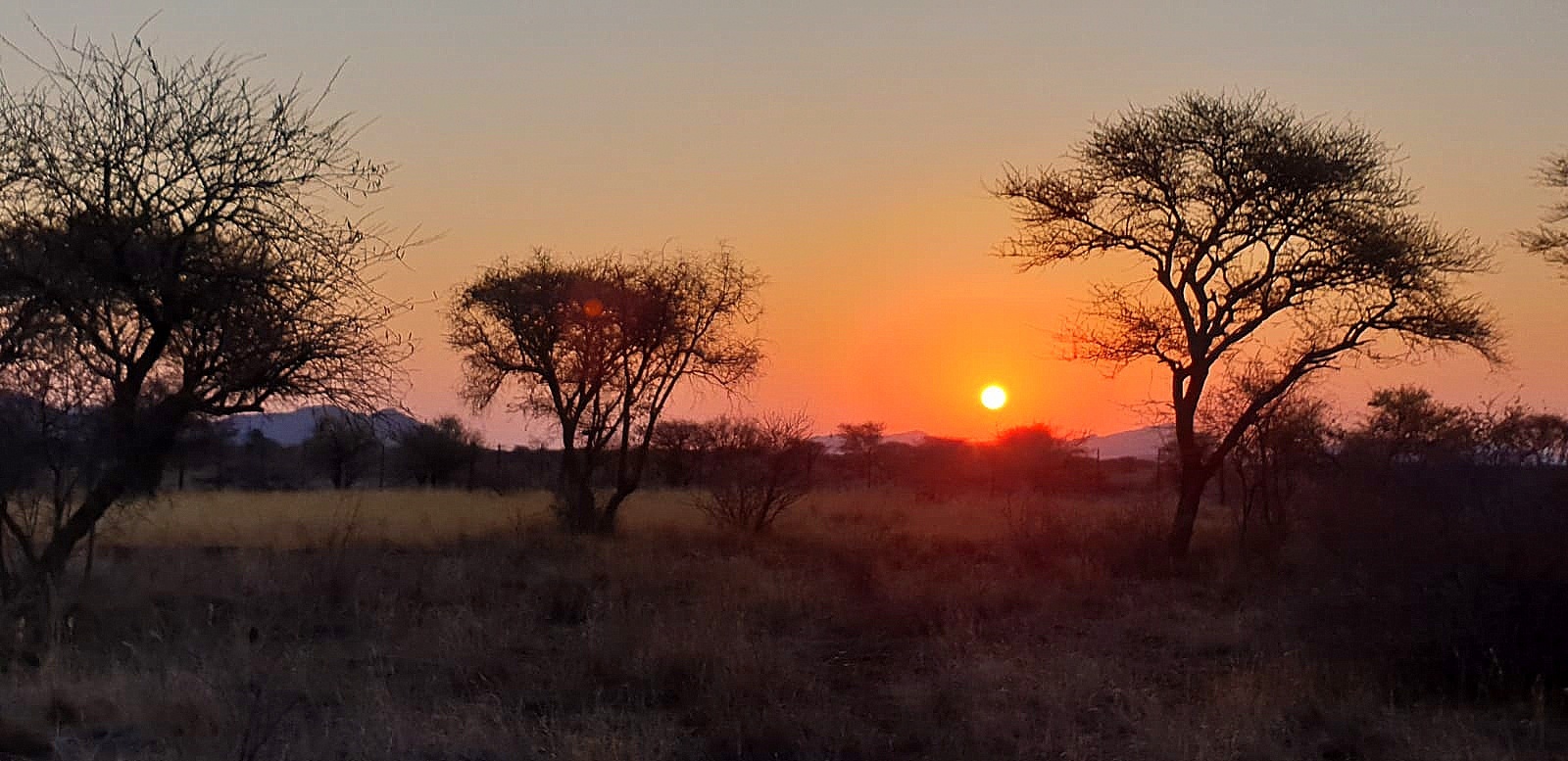 Sundowner auf afrikanisch......