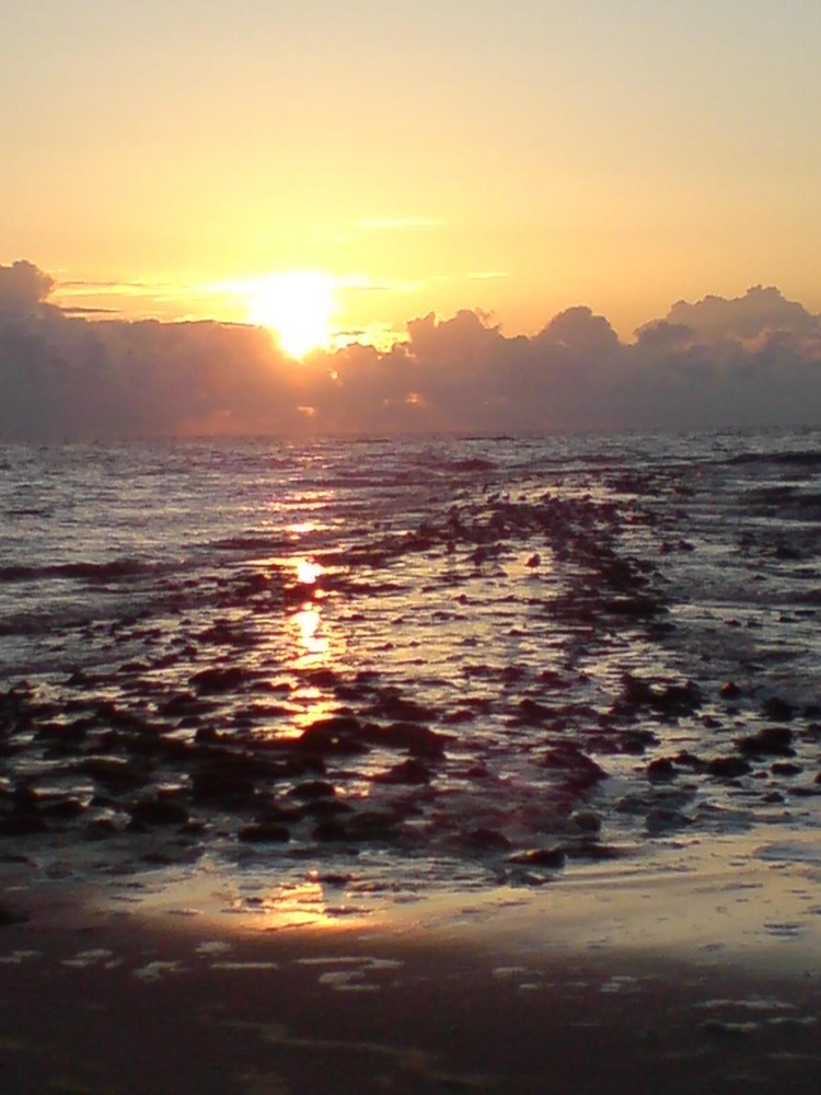 sundowner auf texel im frühling