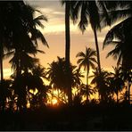 Sundowner auf Zanzibar