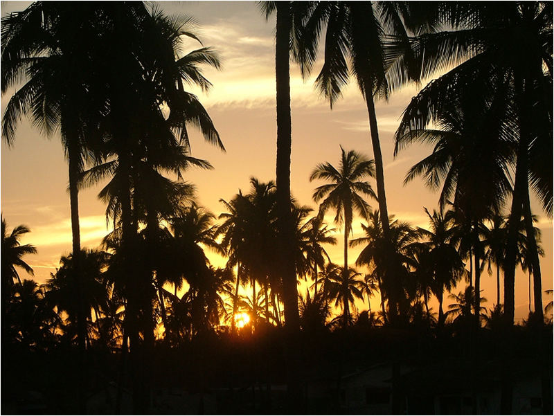 Sundowner auf Zanzibar