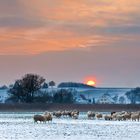 Sundowner bei - 8 Grad auf der Schwäbischen Alb