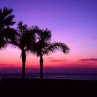 Sundowner bei Cadiz