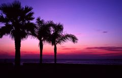 Sundowner bei Cadiz