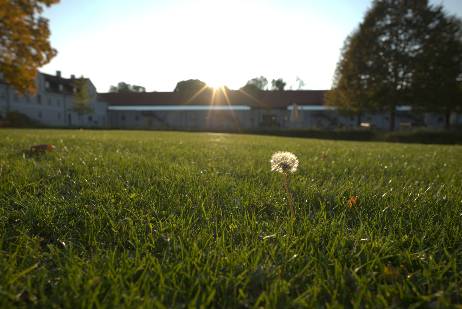 Sundowner