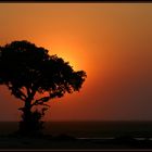 Sundowner-Idylle am Chobe River