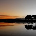 Sundowner im Bundeena Nationalpark, NSW, Australia