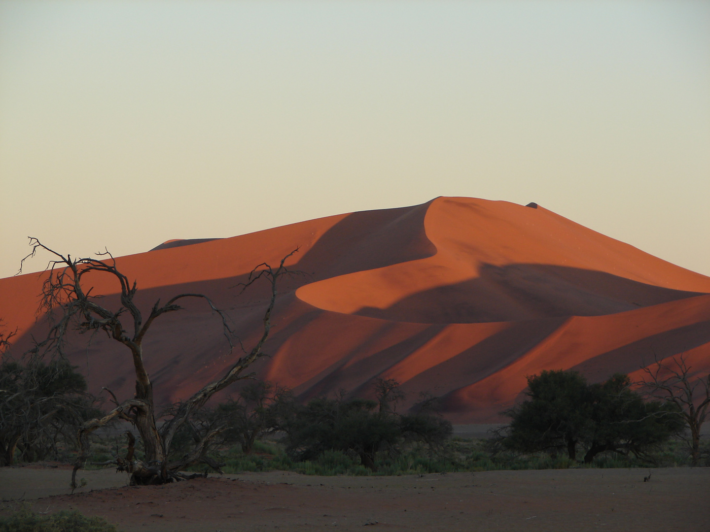 Sundowner im Vlei