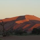 Sundowner im Vlei