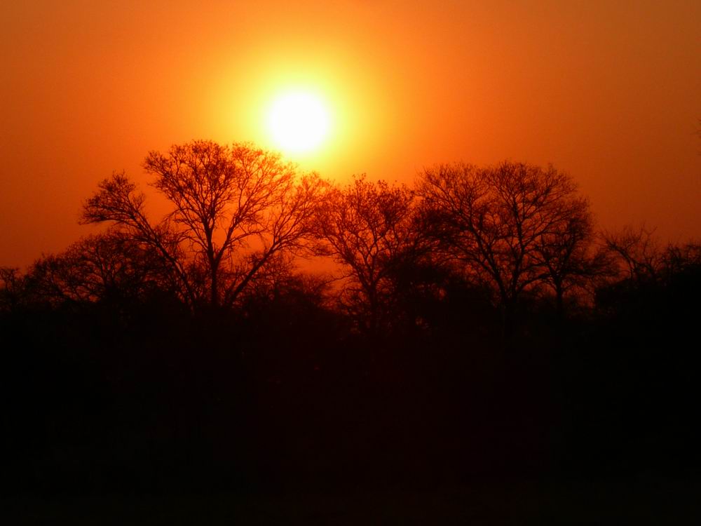 Sundowner in Afrika2