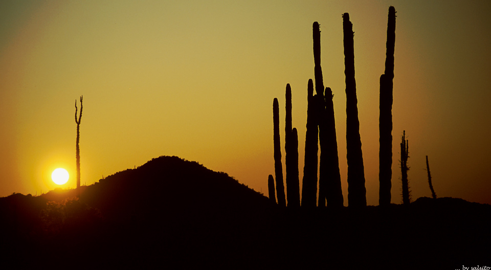 Sundowner in Baja