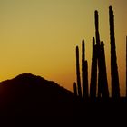 Sundowner in Baja