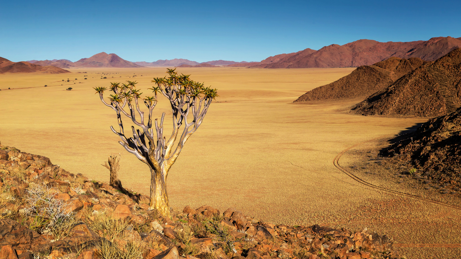 Sundowner in den Tirasbergen