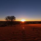 sundowner in der kalahari