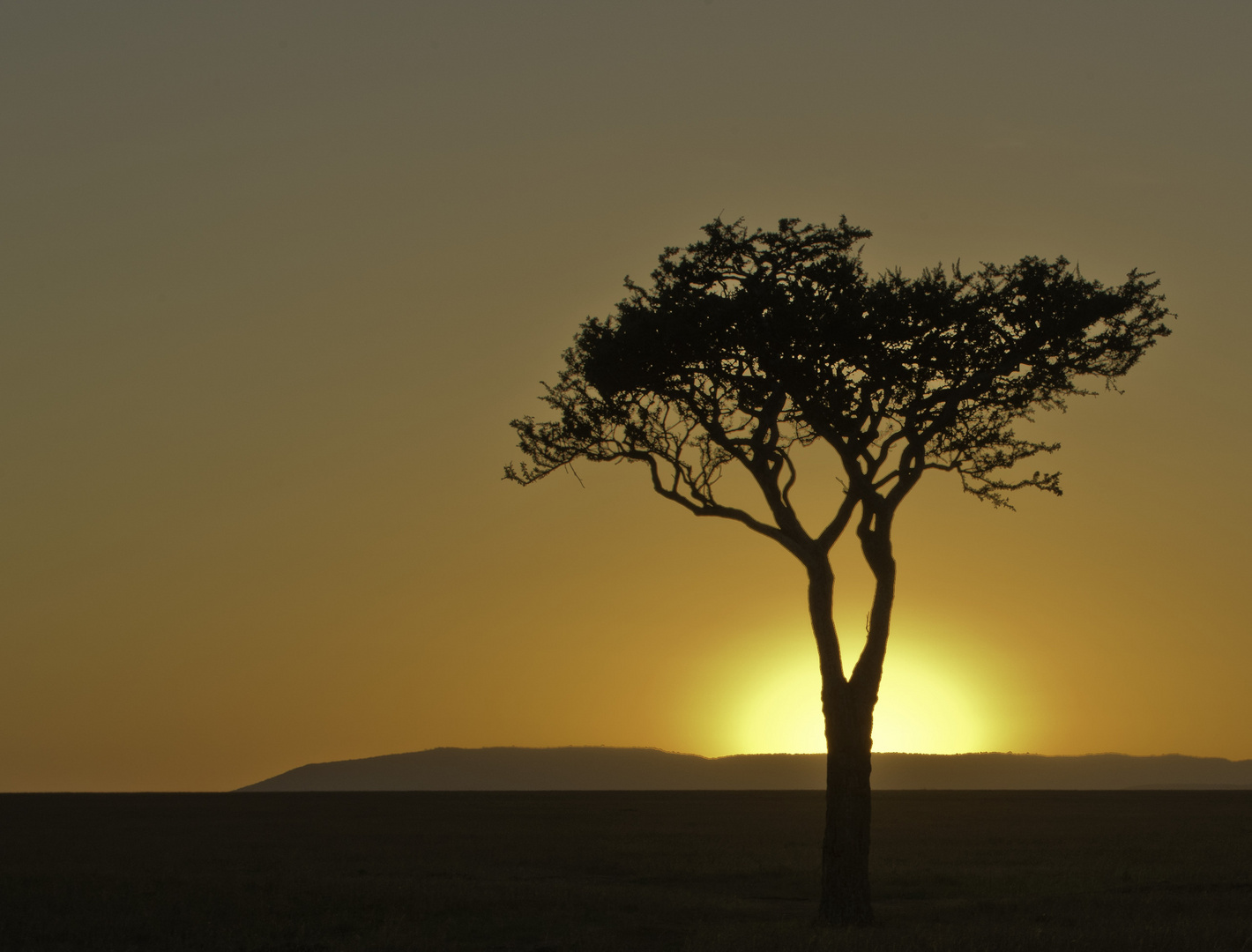 Sundowner in der Maasai Mara