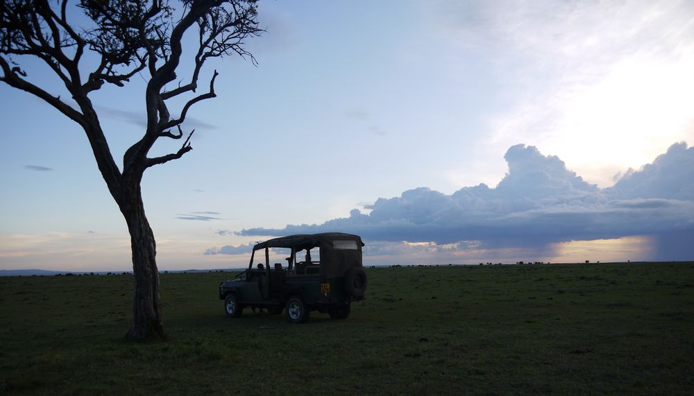 Sundowner in der Mara