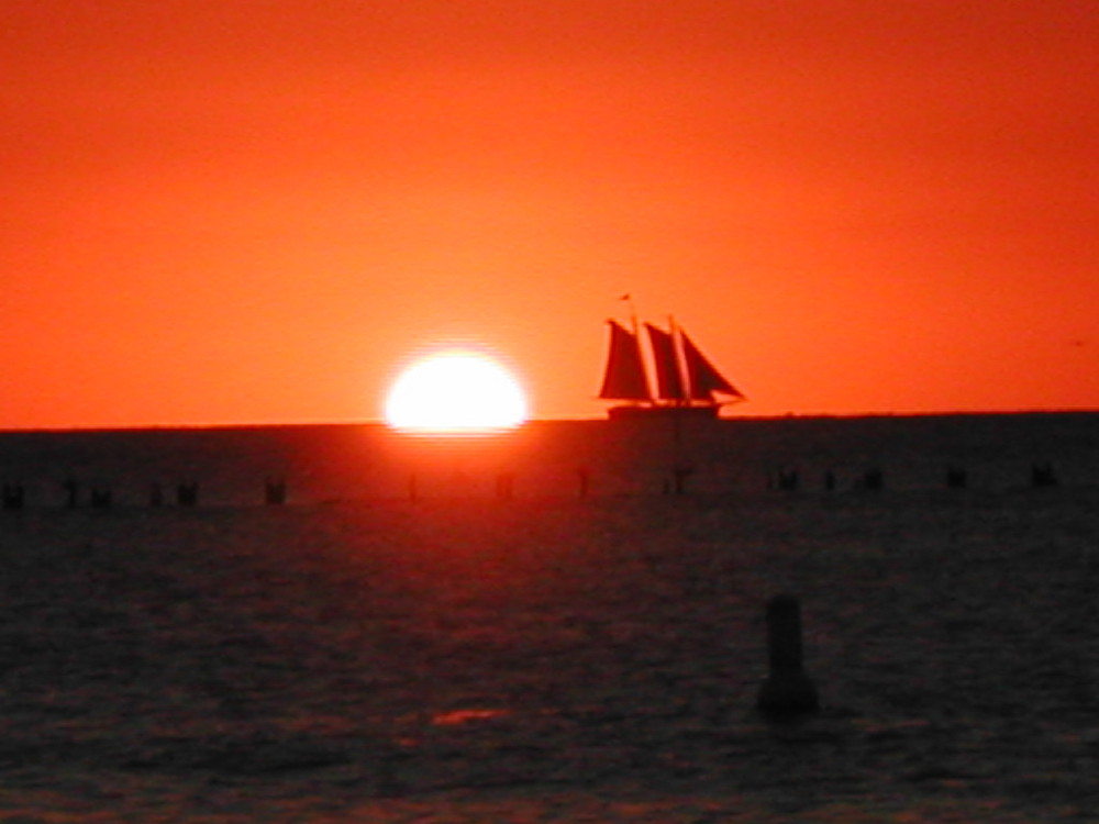 Sundowner in Key West I