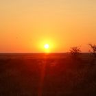 Sundowner in Namibia