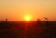 Sundowner in Namibia