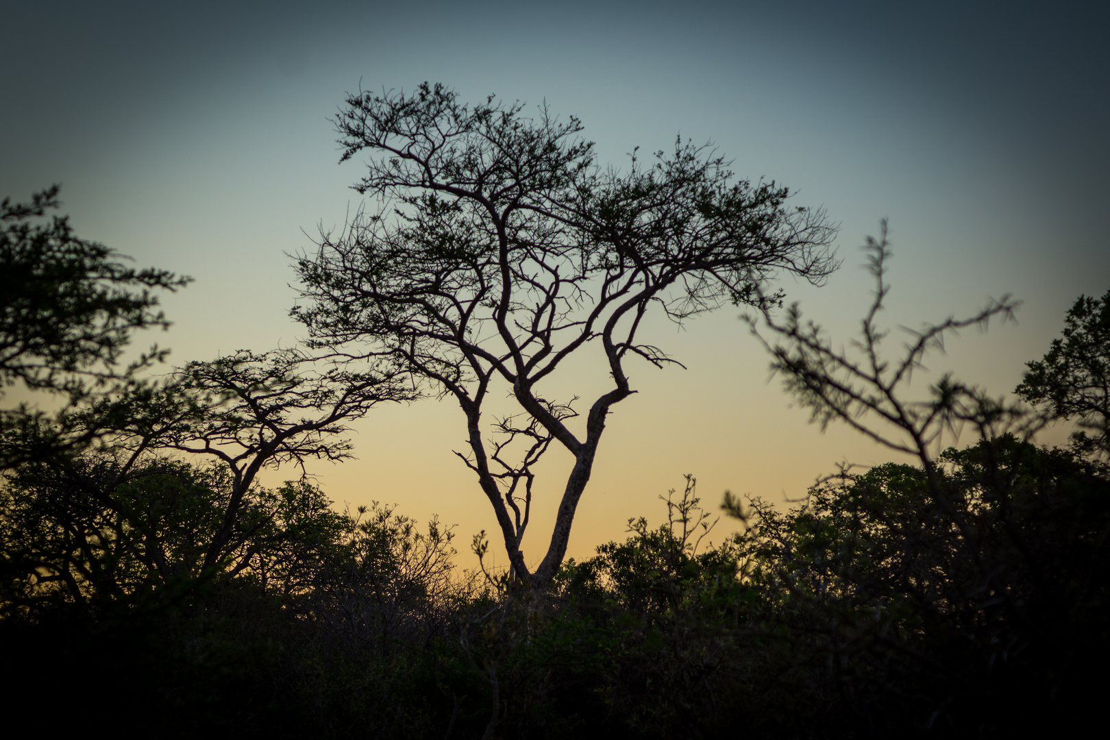 Sundowner in Southafrica