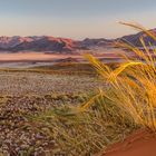 Sundowner in Wolwedans Namibia