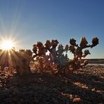 Sundowner ohne große Landschaft