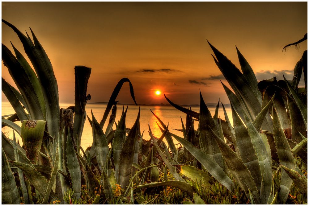 Sundowner on Mallorca