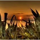 Sundowner on Mallorca