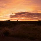 sundowner-panorama aus namibien