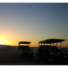 "sundowner"-Tour im Addo N.P.