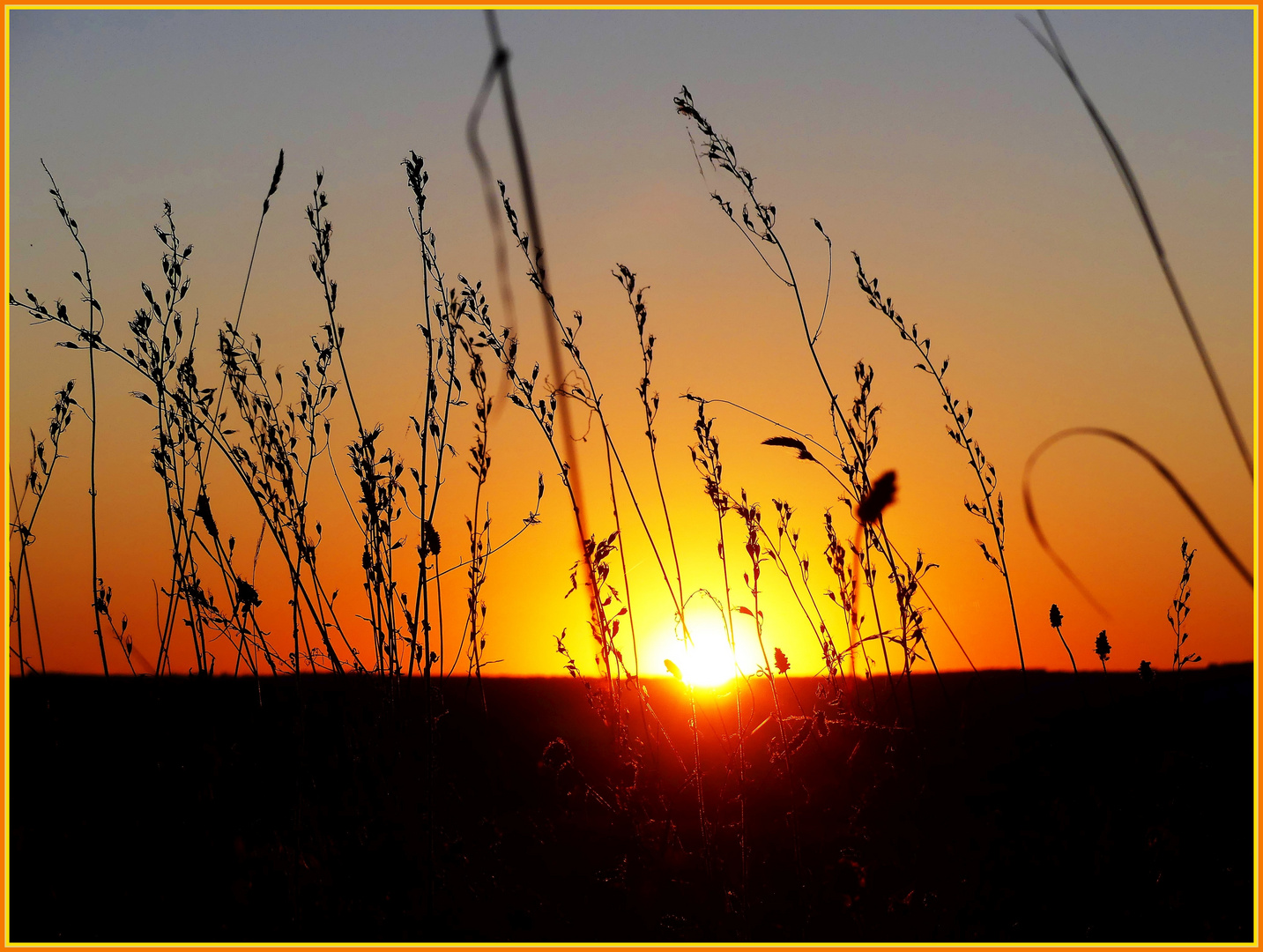 Sundowner vom August