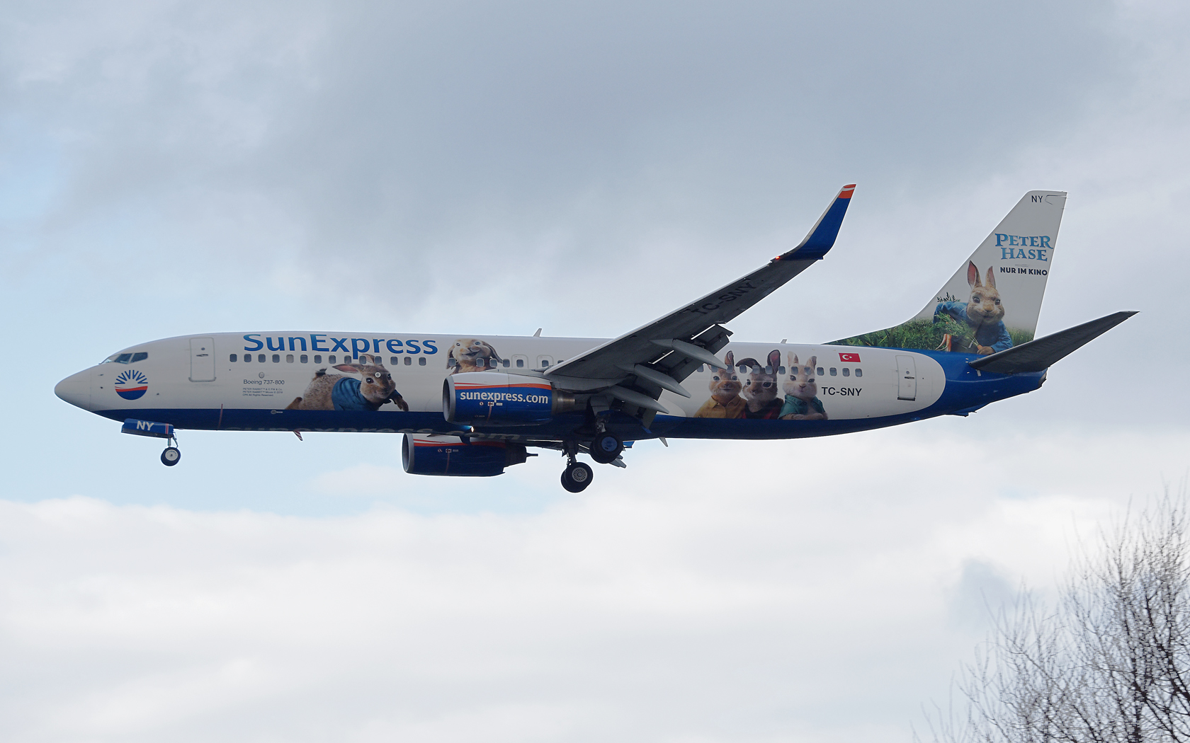 SunExpress Boeing 737-800 TC-SNY 